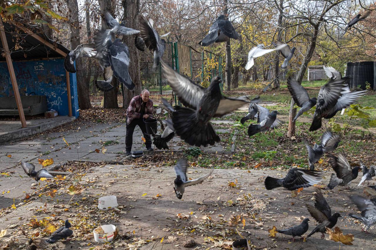Man voert duiven op een binnenplaats in Cherson.