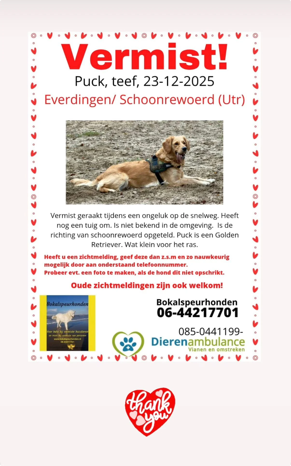 De oproep van de dierenambulance (Beeld: Dierenambulance Vianen en omstreken)