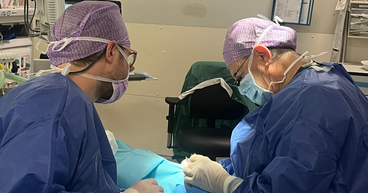 Aantal vuurwerkslachtoffers daalt, maar niet in de Rotterdamse regio: klopt dat wel?