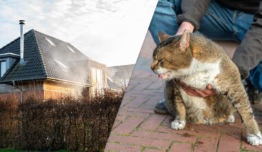 Veel rook bij stalbrand in Surhuisterveen | Auto belandt in sloot bij Tijnje - Omrop Fryslân