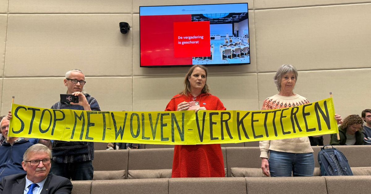 Activisten verstoren vergadering provincie: 'Stop verketteren wolf' - RTV Utrecht