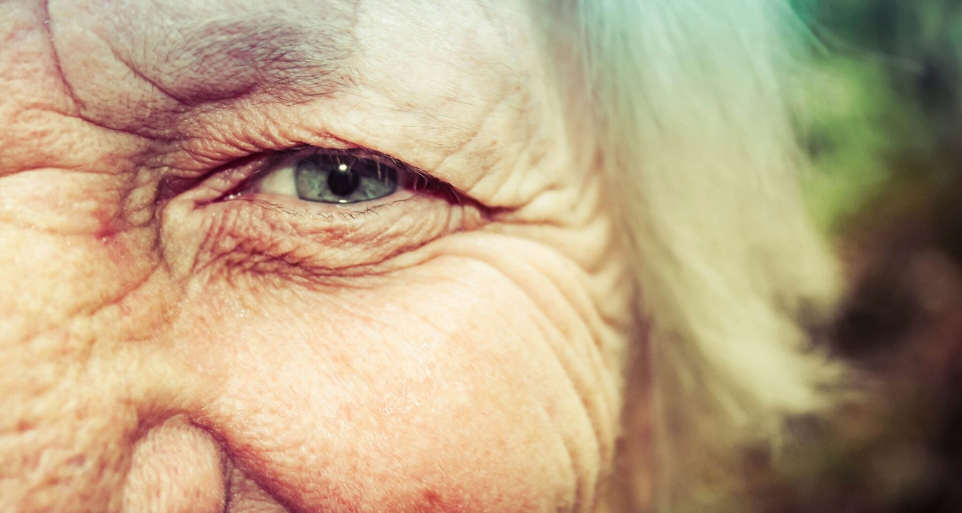 Waarom niemand aan ‘ouderdom’ sterft en wat ons écht langer kan laten leven