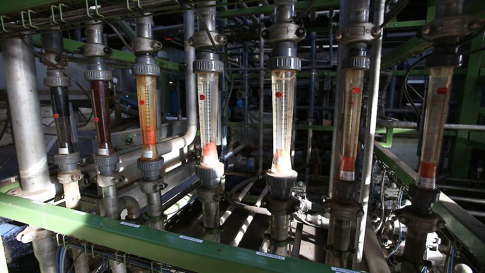 Foto van Reinout Burgers