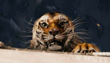 Avontuurlijke viervoudige Oscarwinnaar vanmiddag gewoon te bekijken | Film Nieuws