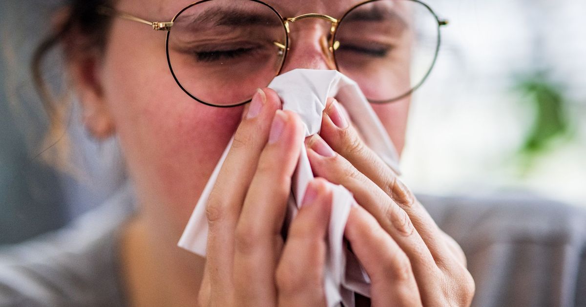 Griepgolf eerder dan normaal: 'Het is straks mogelijk alle hens aan dek' - Omroep Gelderland