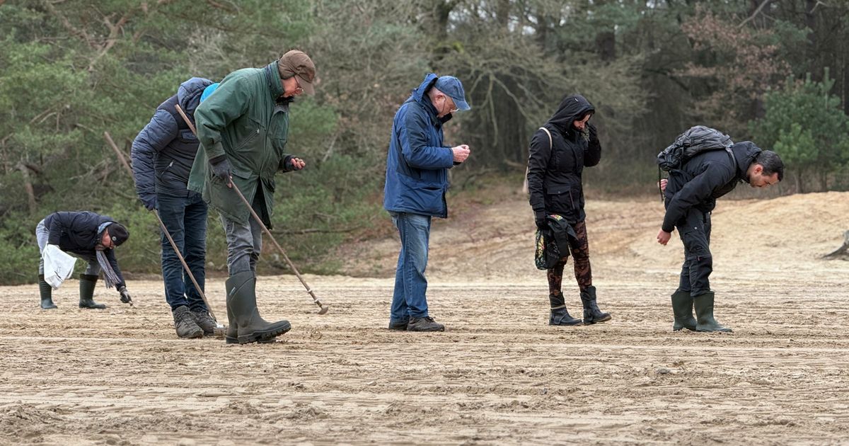 Was de 50.000 jaar oude vuistbijl toeval of leefden er Neanderthalers op het Holtingerveld?