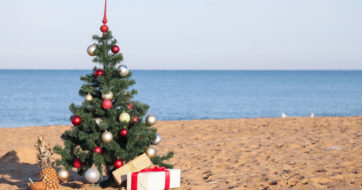 Het lijkt wel lente: record na record verbroken door hoge temperaturen - Rijnmond