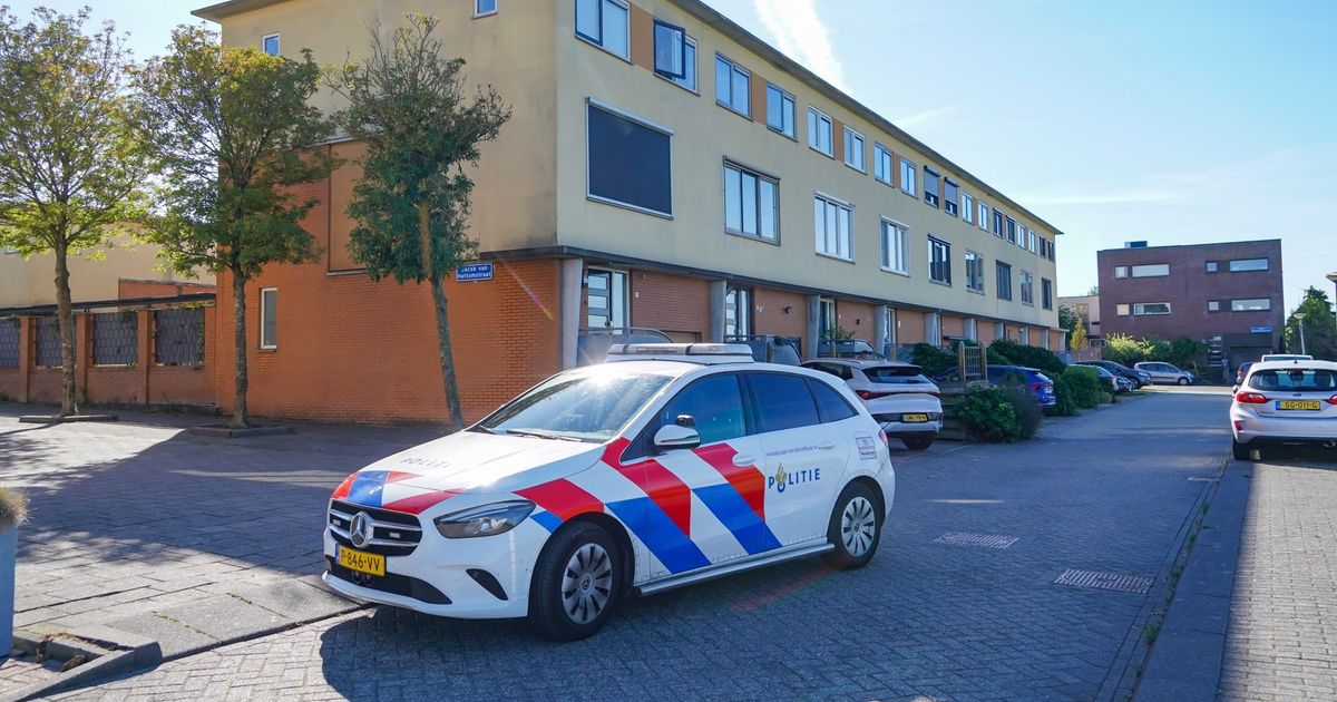 Stadjer niet alleen verdacht van doden moeder, maar ook van steekincident Cascadeplein