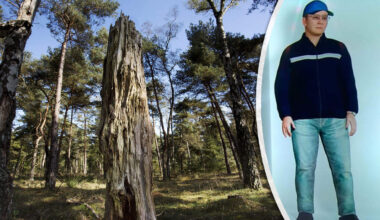 Politie geeft verkrachter 15-jarig meisje in 2009 laatste kans: ’Meld je, of we verspreiden 3D-hologram’ - De Telegraaf