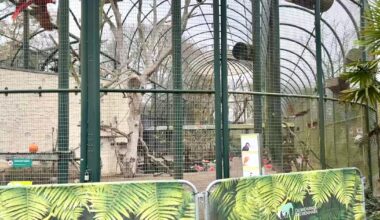 Dierentuinen en kinderboerderijen nemen maatregelen tegen vogelgriep - RTV Utrecht