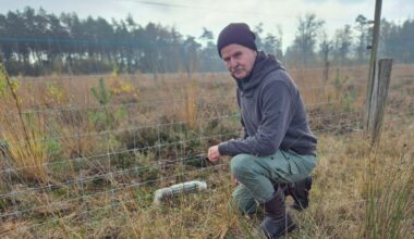 Zoektocht naar waterdicht wolfwerend hek met geur, geluid en een tik op de neus