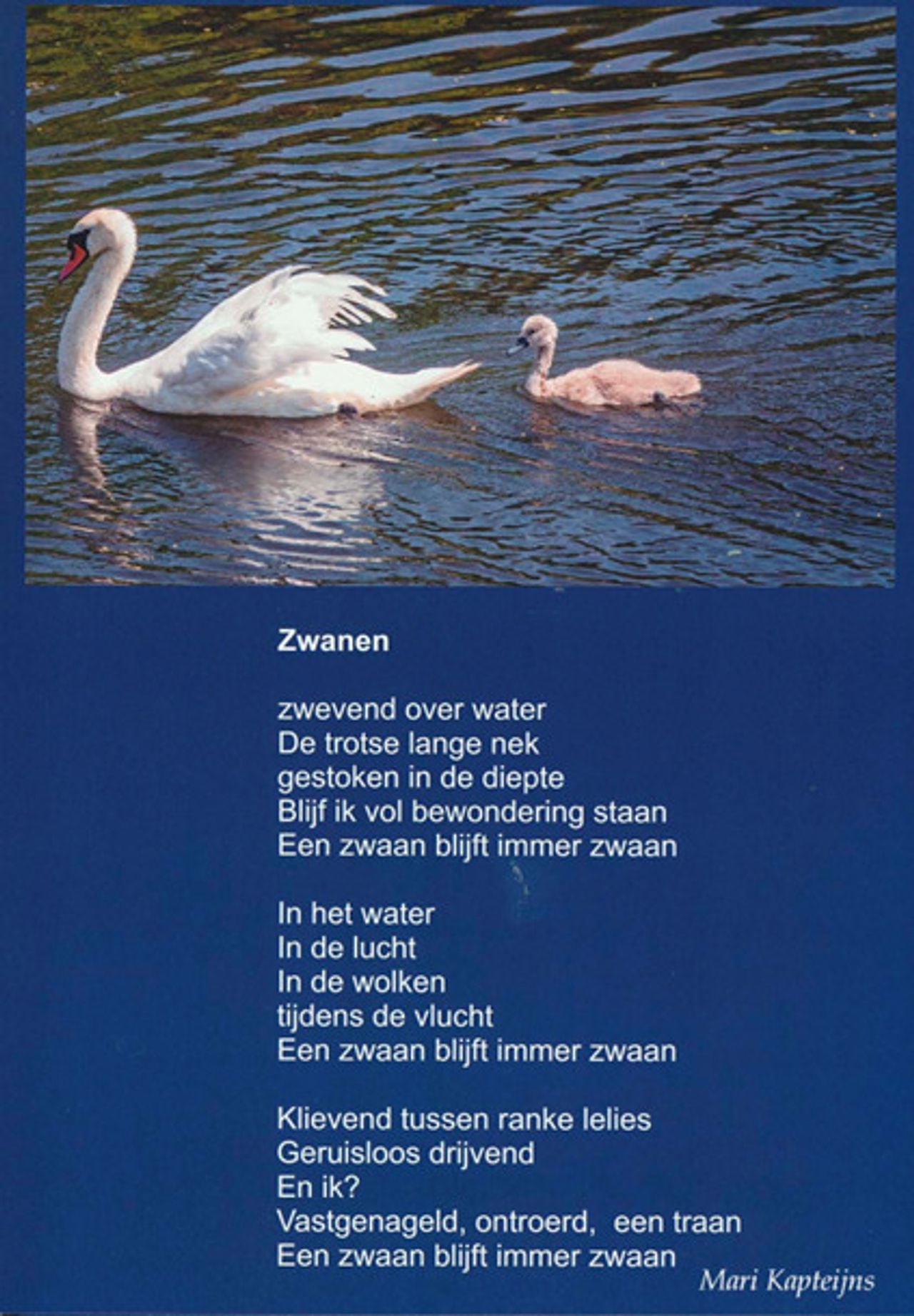 Gedicht van Mari Kapteijns