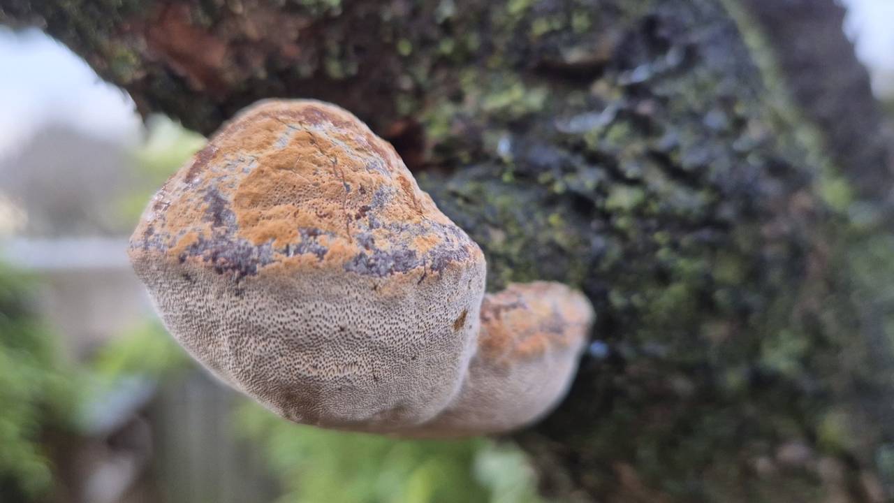 Gedicht van Mari Kapteijns