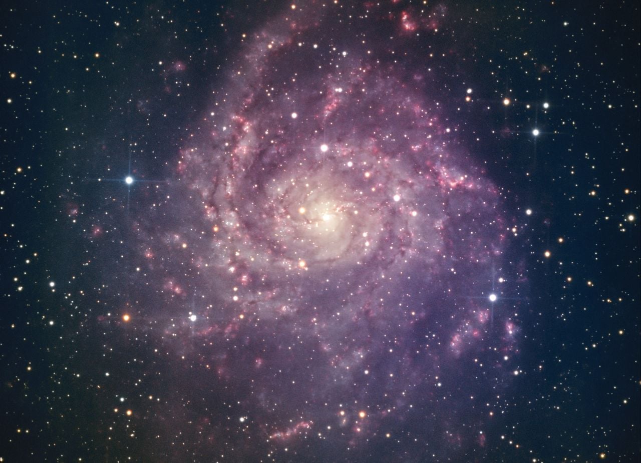 Groot spiraalstelsel (foto: Onno Bloemers).