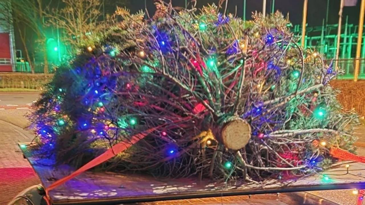 Auto rijdt rond met kerstboom op het dak, maar agenten zetten lampjes uit