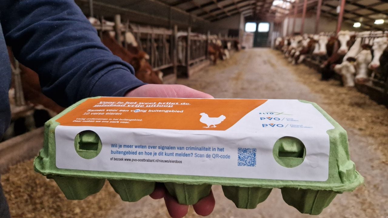 Het eierdoosje van de actie