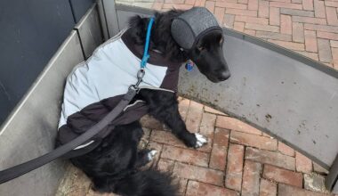 Bubbelliefhebber Sylvia Alewijn (Foto: Eva de Schipper).