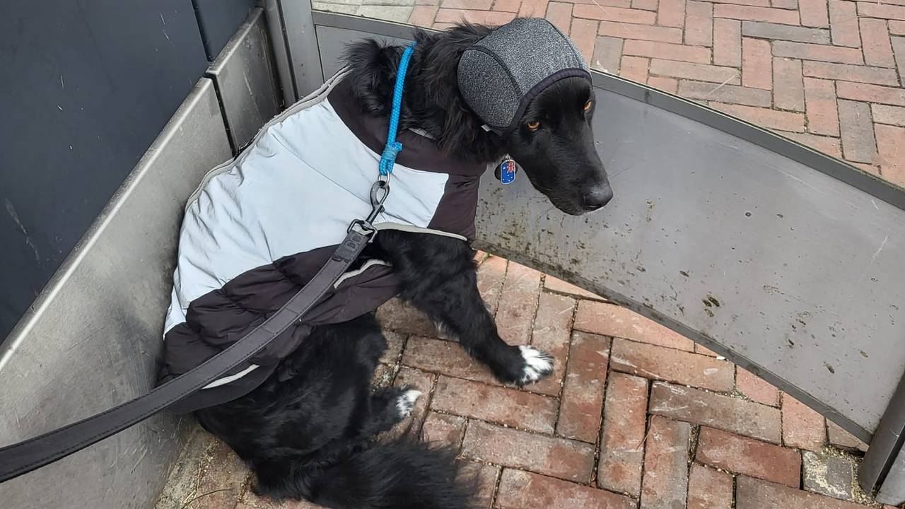 Bubbelliefhebber Sylvia Alewijn (Foto: Eva de Schipper).