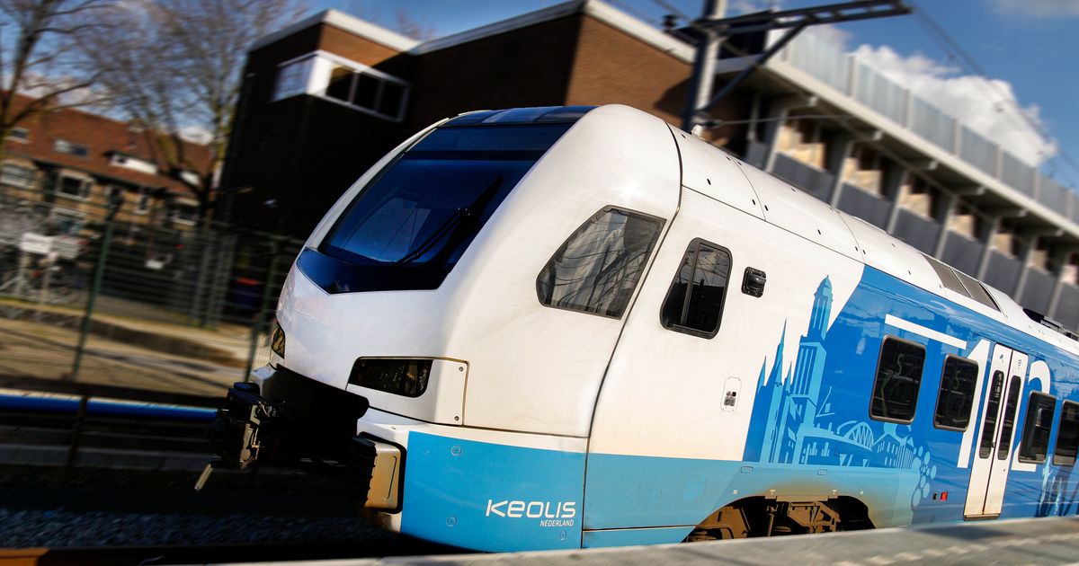Oplossing voor drukke trein Enschede-Zwolle, al moet reiziger nog jaren wachten