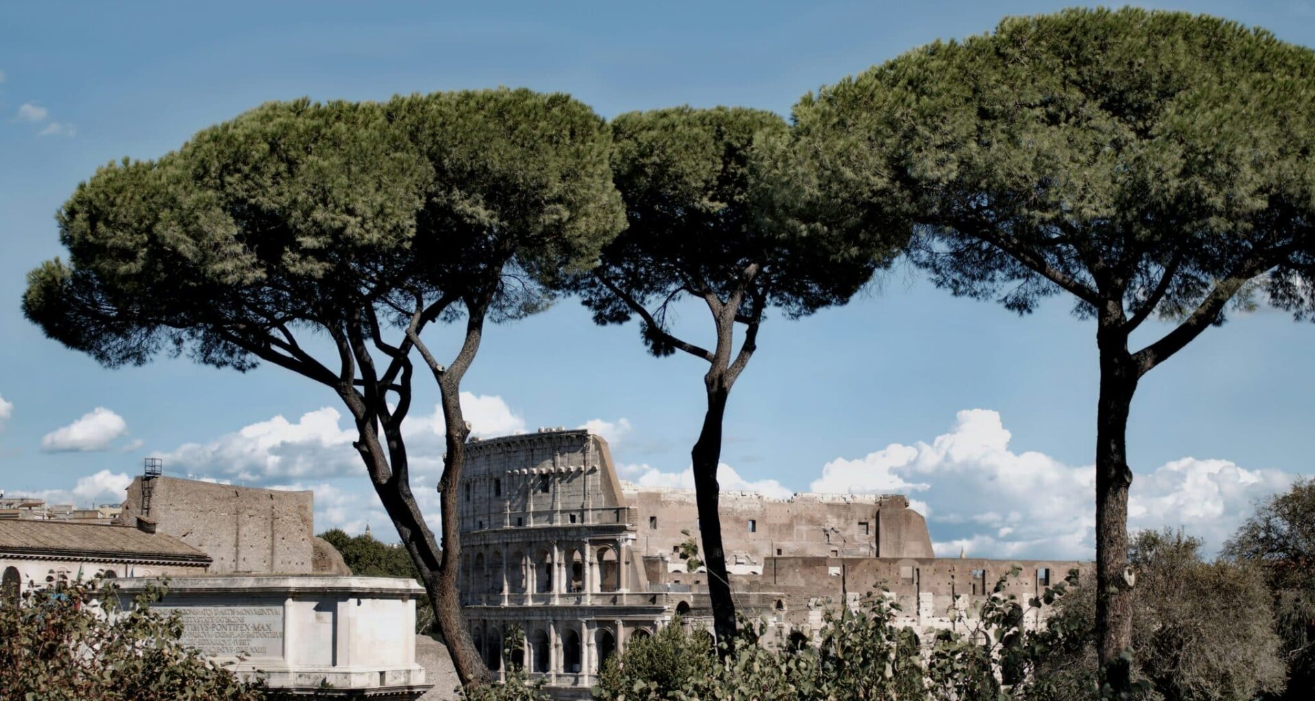 De Romeinen kapten Europa kaal, maar de natuur gaf niet op