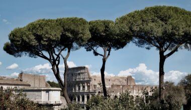 De Romeinen kapten Europa kaal, maar de natuur gaf niet op
