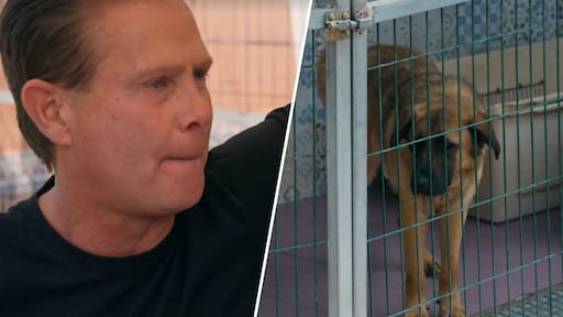 Danny de Munk in tranen bij bezoek aan hondenasiel in Frans & Mariska: Stellen op de Proef : 'Trek dit heel slecht'