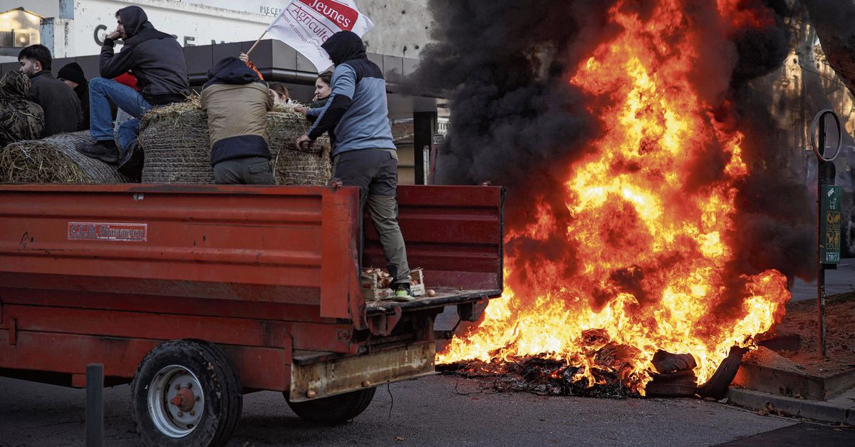 Frankrijk Protest tegen ruiming vee met besmettelijke huidziekte