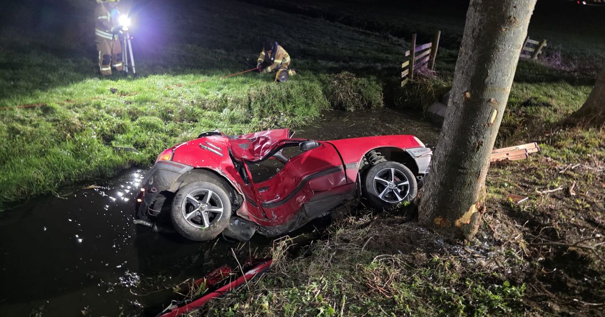 Jonge bestuurder (18) botst op boom en overlijdt - Rijnmond