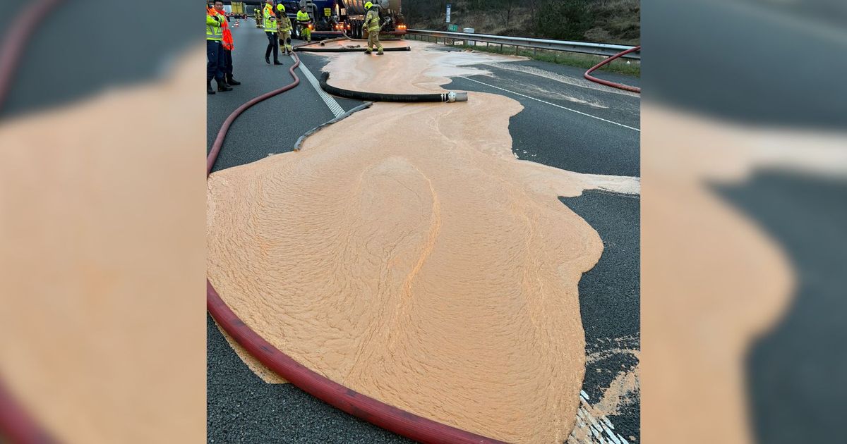 Vieze smurrie op de weg: gistend supermarktafval zorgt voor file - Omroep Gelderland
