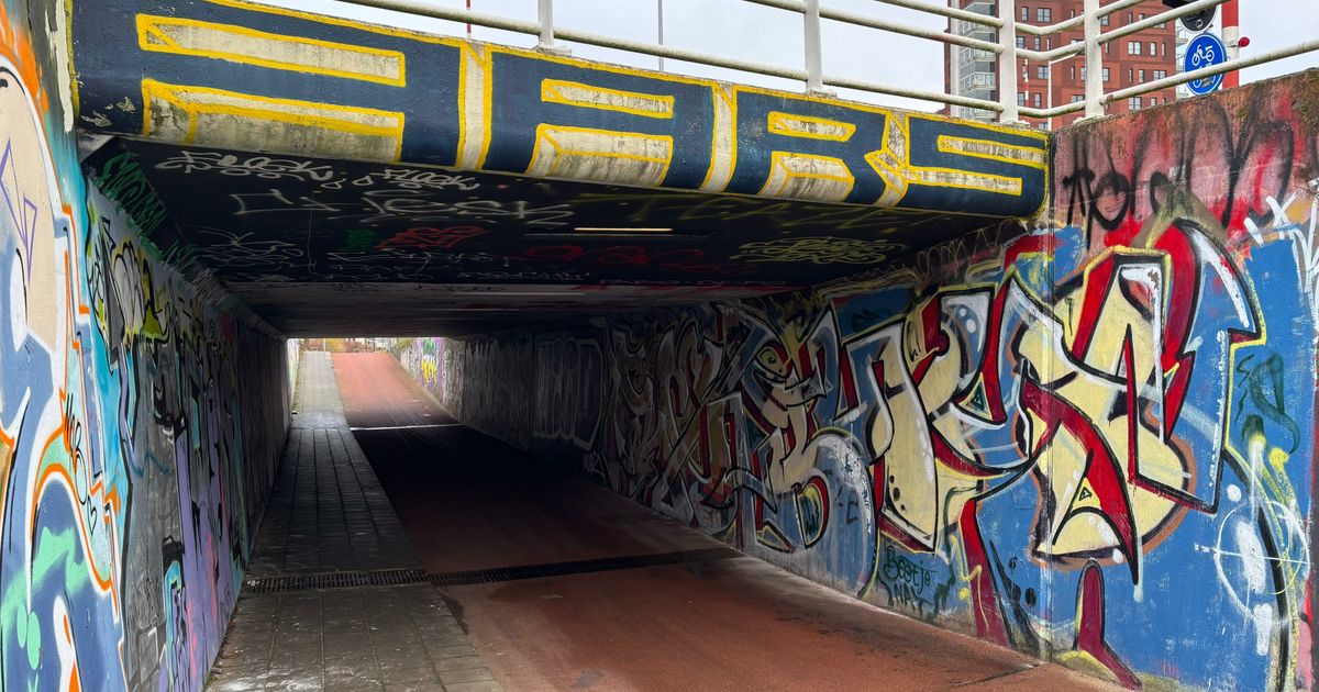 Graffitikunstenaars voelen zich gecensureerd; gemeente neemt beleid onder de loep