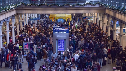 Treinverkeer Eurostar ernstig gehinderd door stroomstoring in Kanaaltunnel
