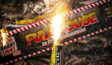 Kinderen met vuurwerk beschoten met luchtbuks, politie houdt man aan