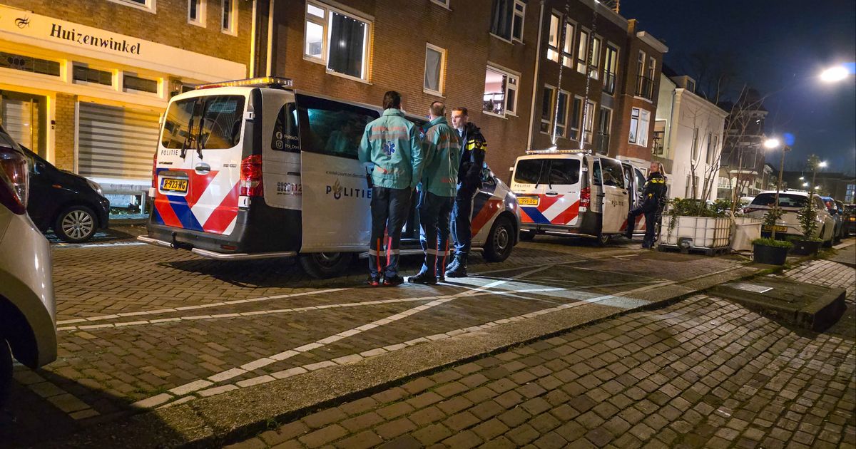 Vechtpartij bij station eindigt in steekpartij: een lichtgewonde - Rijnmond