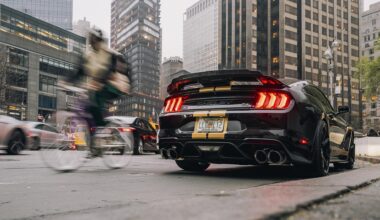 Wie op vakantie wil naar de VS, moet autogeschiedenis laten zien