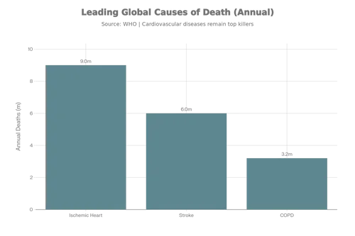 Grootste_doodsoorzaken_wereldwijd_volgens_WHO_(jaarlijkse_sterfgevallen_in_miljoenen,_afgerond)