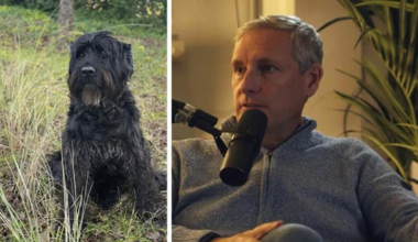 Gert Verhulst kreeg “teken” van overleden hond Leo: “En ik geloof daar nochtans totaal niet in”