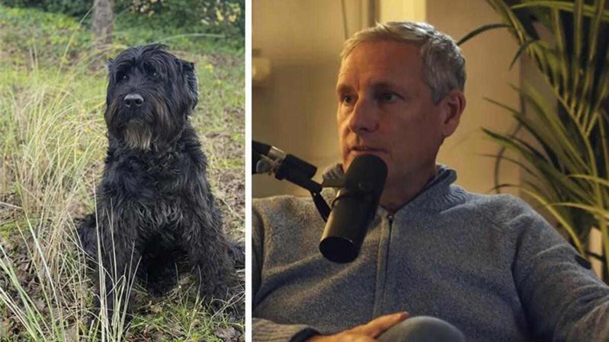 Gert Verhulst kreeg “teken” van overleden hond Leo: “En ik geloof daar nochtans totaal niet in”