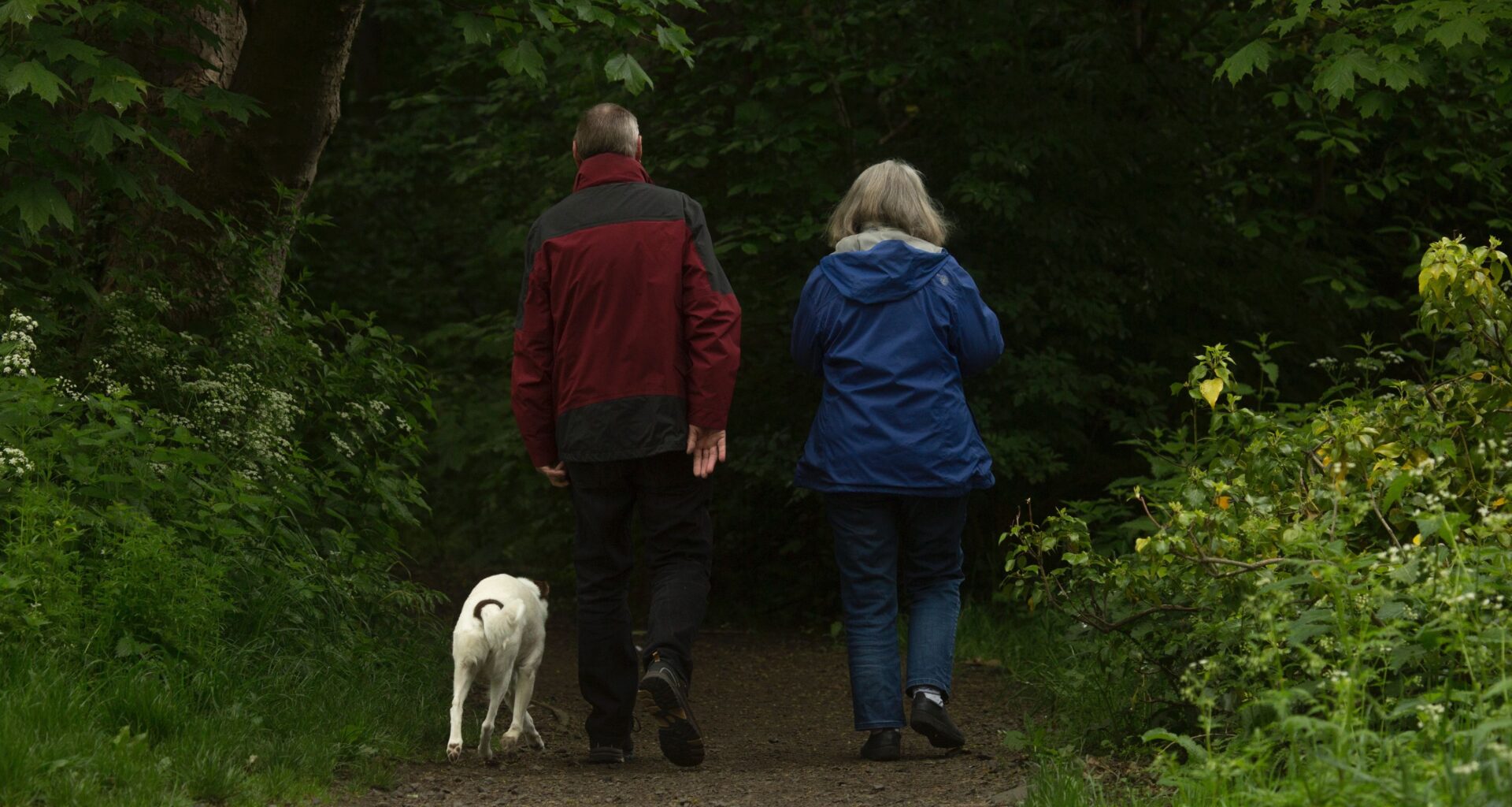 dit nieuwe, hogere bedrag kun je verwachten op je rekening volgens de SVB