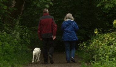 dit nieuwe, hogere bedrag kun je verwachten op je rekening volgens de SVB