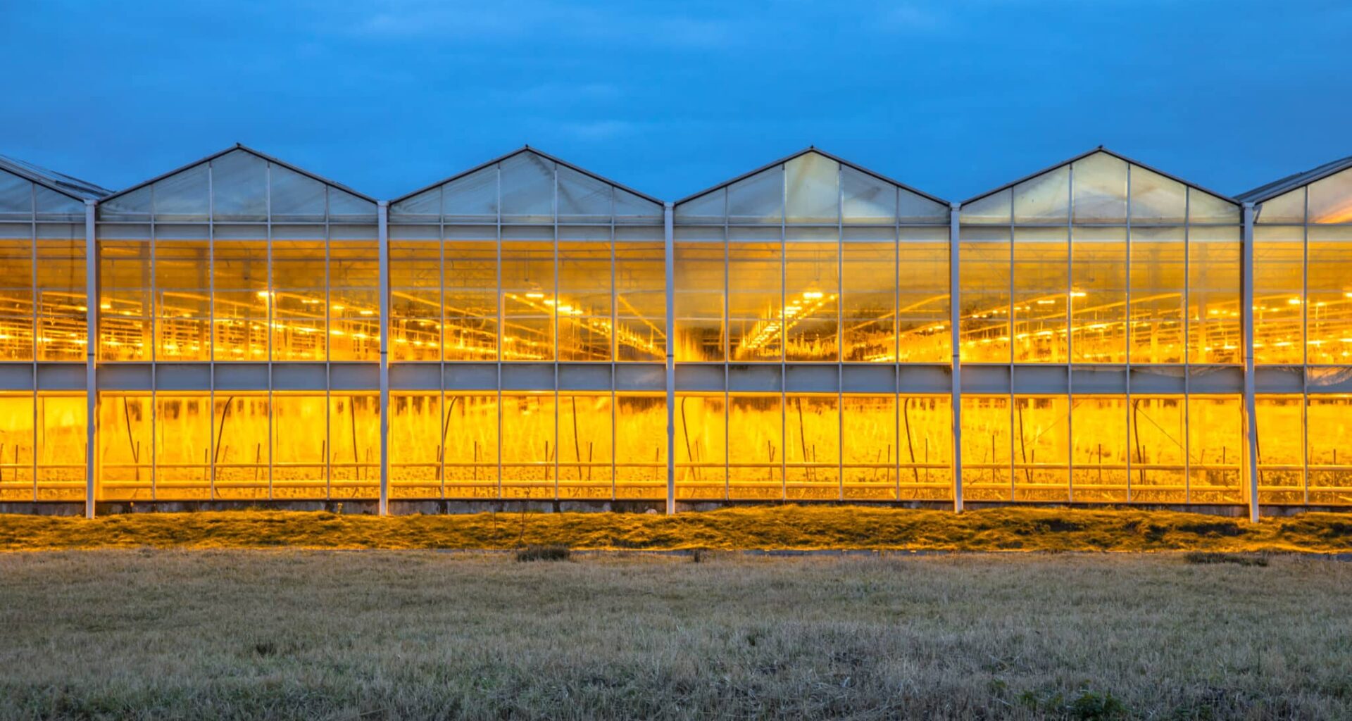 Broedplaats voor gevaarlijke schimmelmutatie in kaart gebracht