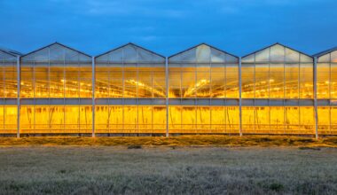 Broedplaats voor gevaarlijke schimmelmutatie in kaart gebracht