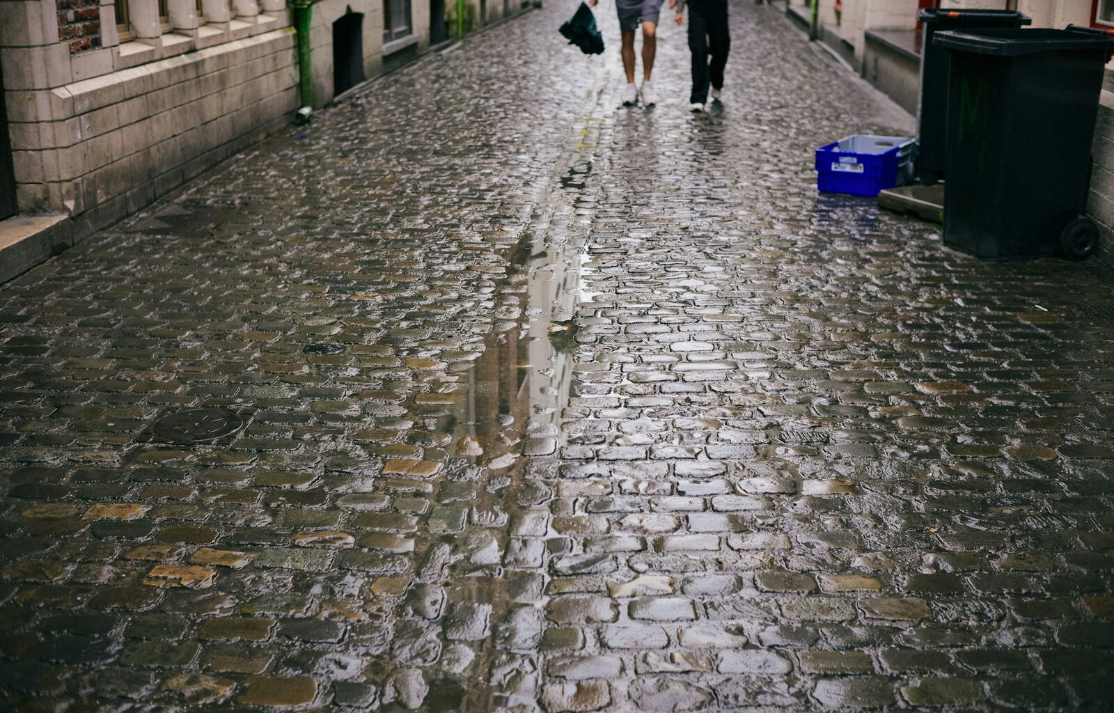 Brussel laat een enorm economisch potentieel liggen