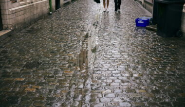 Brussel laat een enorm economisch potentieel liggen