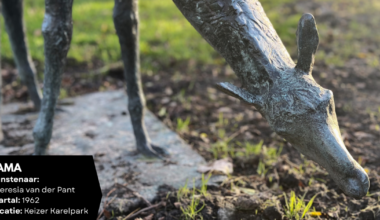 Verzameld voor Amstelveen (13): Lama