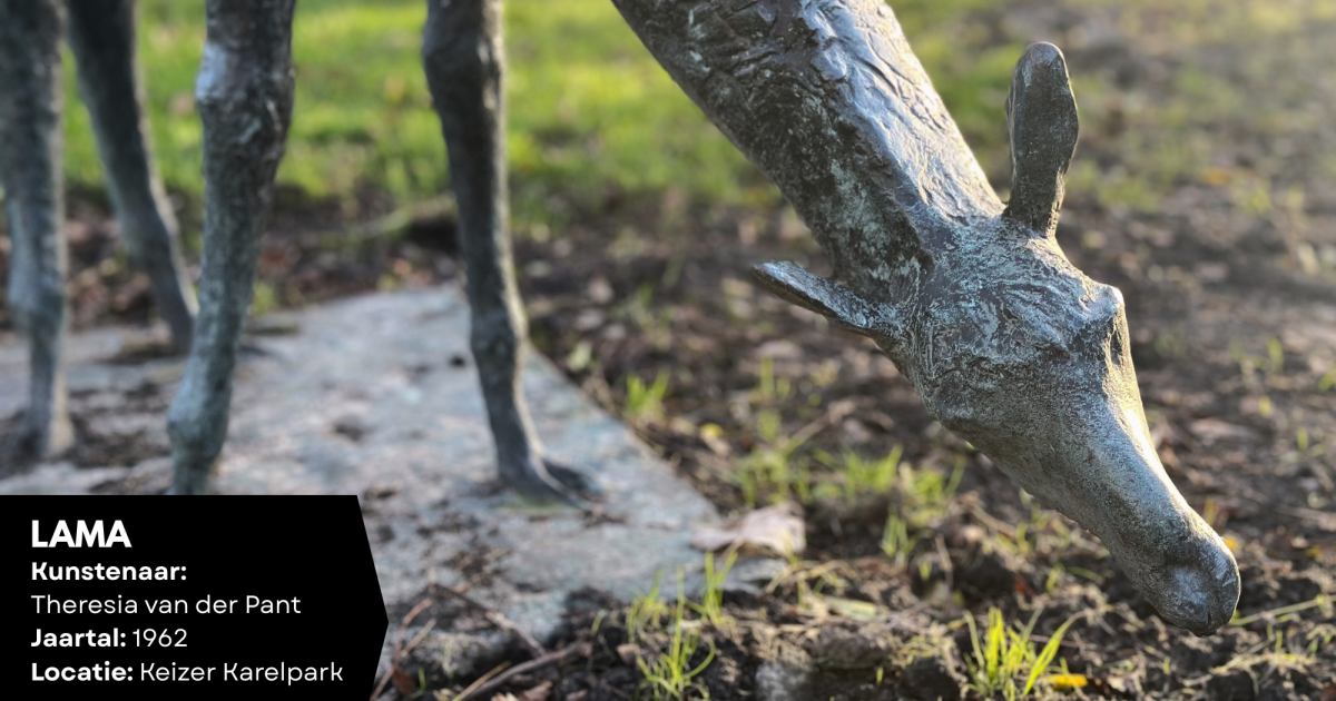 Verzameld voor Amstelveen (13): Lama