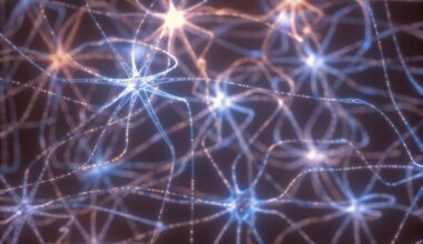 Nieuw implantaat kan via lichtsignaaltjes direct met je hersenen communiceren