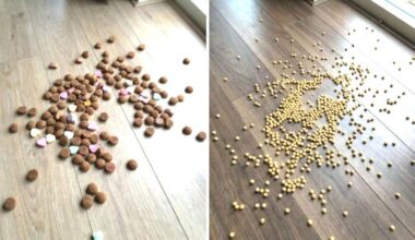 Gezondheidsraad adviseert: “Laat Piet peulvruchten strooien in plaats van pepernoten”