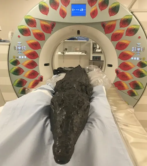 Scherm­afbeelding 2025-12-12 om 06.34.29