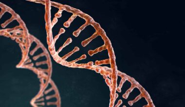 RNA blijkt ook buiten de cel actief