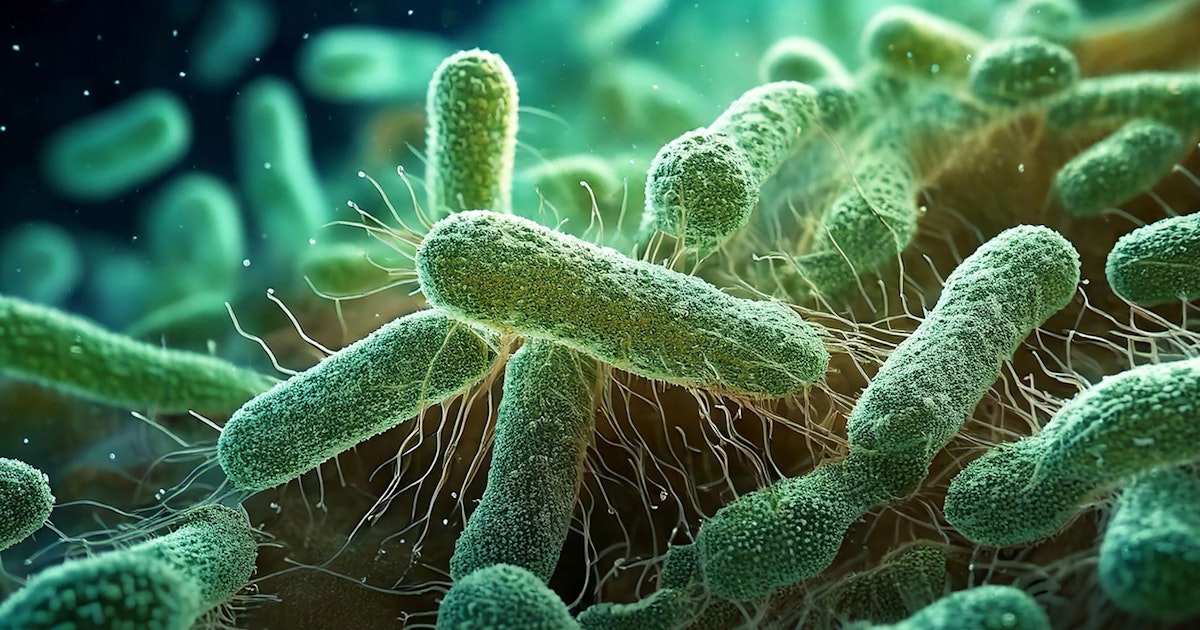 Nieuwe ontdekking: Populaire voedingsmiddelen kunnen snel blijvende veranderingen in je darmen veroorzaken